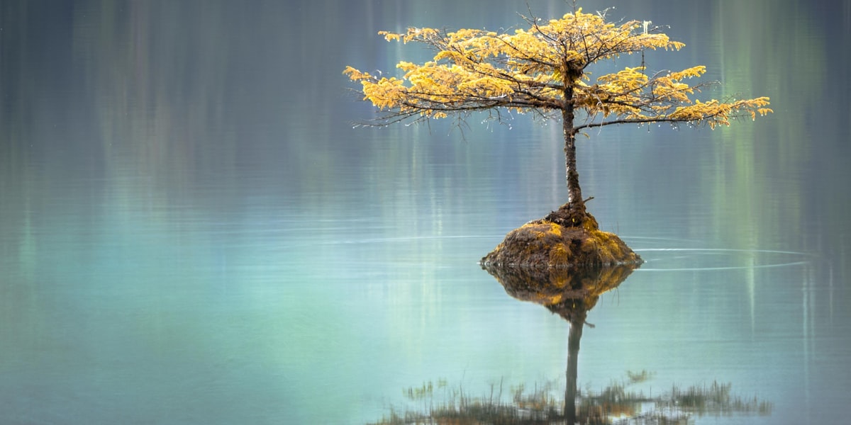 The Gift of Forgiveness (Romans 6)