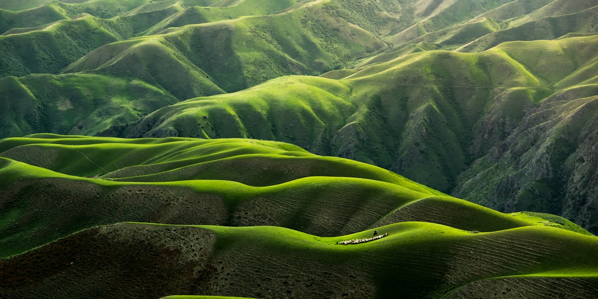 The Heart of Prayer (Psalms 6)